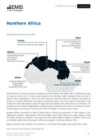 Africa Oil and Gas Sector Report 2020/2021 - Page 16