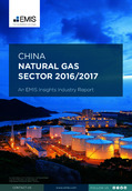 China Natural Gas Sector Report 2016/2017 - Page 1