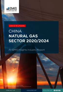 China Natural Gas Sector Report 2020-2024 - Page 1