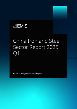 China Iron and Steel Sector Report 2025 Q1 - Page 1